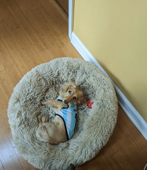 Banfield Pet Hospital Picture 7
