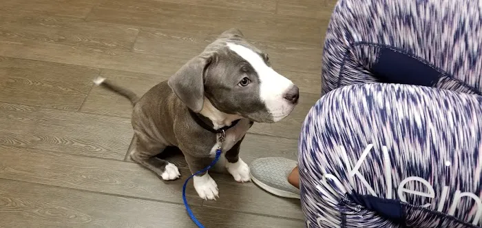 Banfield Pet Hospital Picture 4