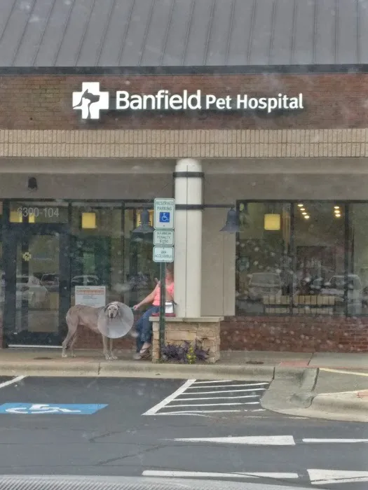 Banfield Pet Hospital Picture 6