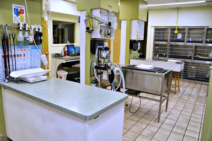 Bowman Animal Hospital and Cat Clinic Inc Picture 3