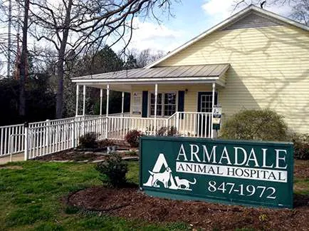 Armadale Animal Hospital Picture 8