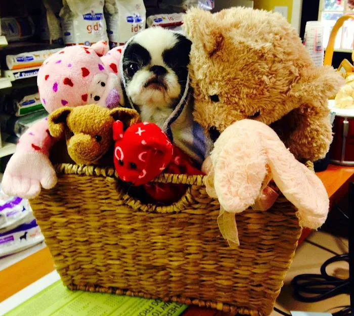 Armadale Animal Hospital Picture 7