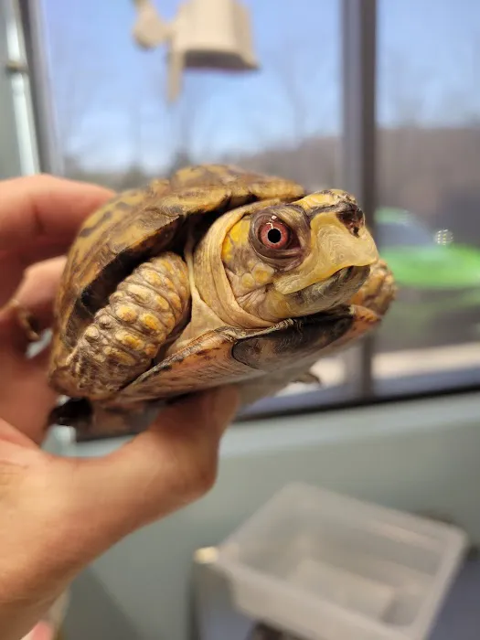Avian and Exotic Animal Care Picture 3