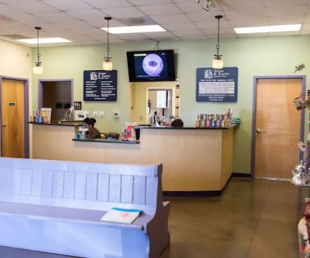 Avian and Exotic Animal Care
