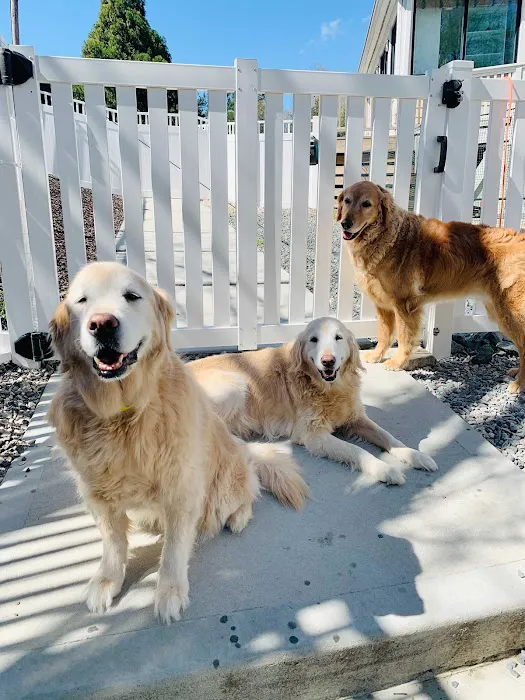 Page Point Animal Hospital and Pet Resort Picture 7