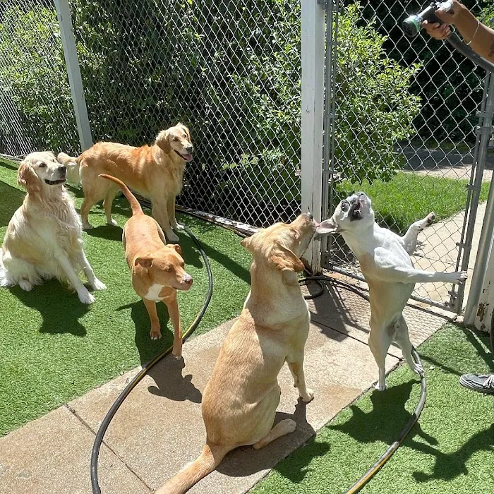 VetMed Alliance Picture 10