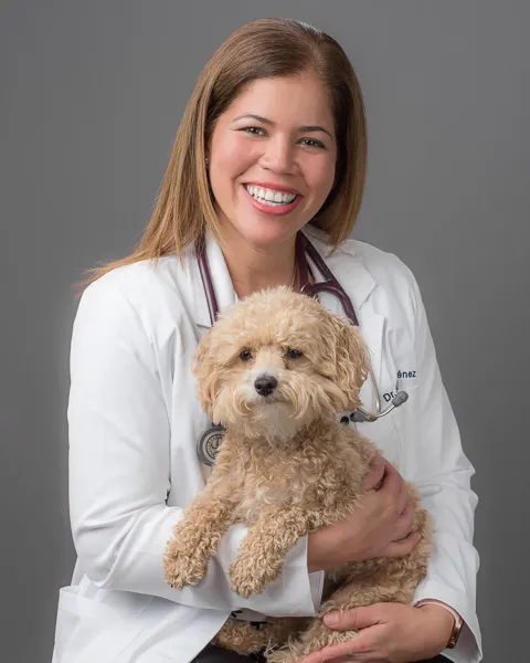 VetMed Alliance Picture 6