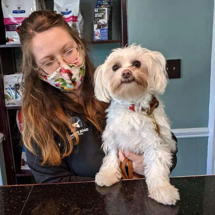 VetMed Alliance Picture 1