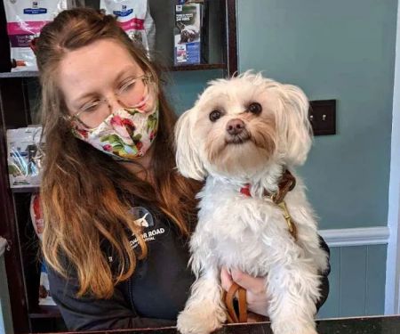 VetMed Alliance
