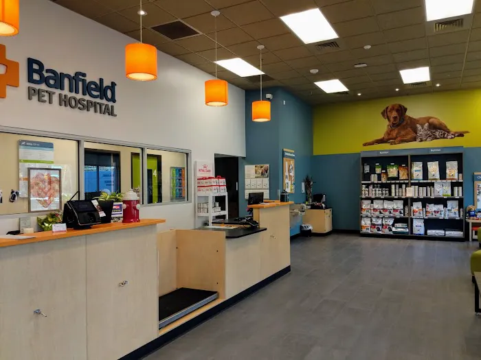 Banfield Pet Hospital Picture 3