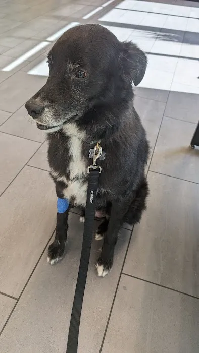 Banfield Pet Hospital Picture 10