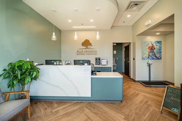 Ellis Crossing Animal Hospital Picture 4