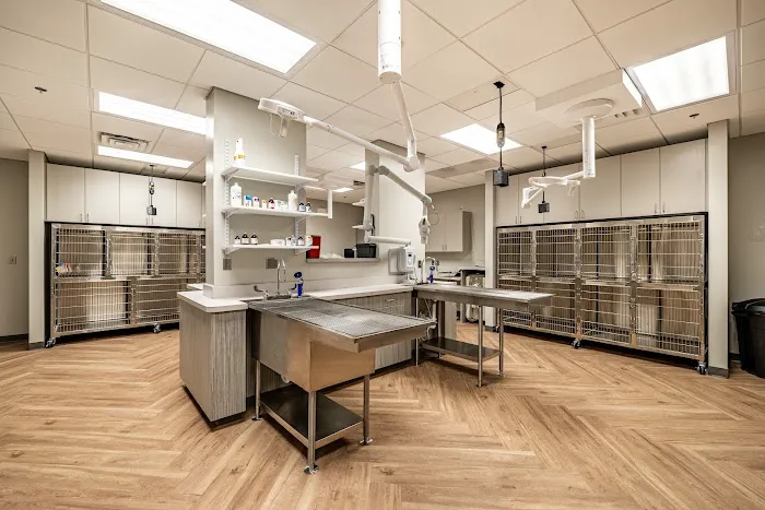 Ellis Crossing Animal Hospital Picture 3