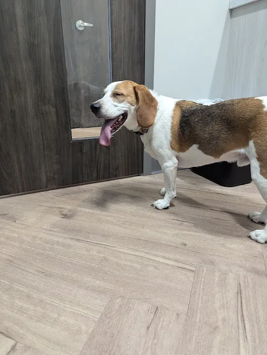 Ellis Crossing Animal Hospital Picture 9