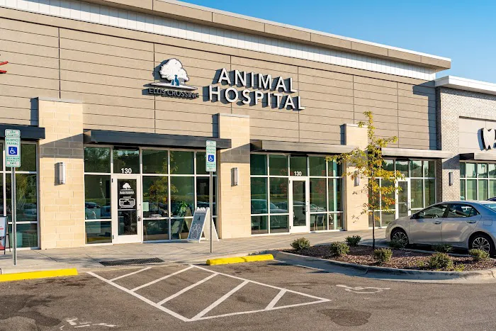 Ellis Crossing Animal Hospital Picture 6