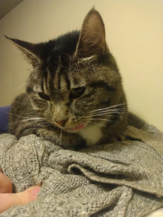 Cornwallis Road Animal Hospital Picture 9