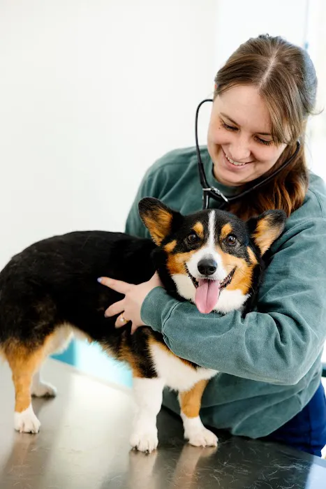 Truss Vet - Veterinary Urgent Care Picture 7