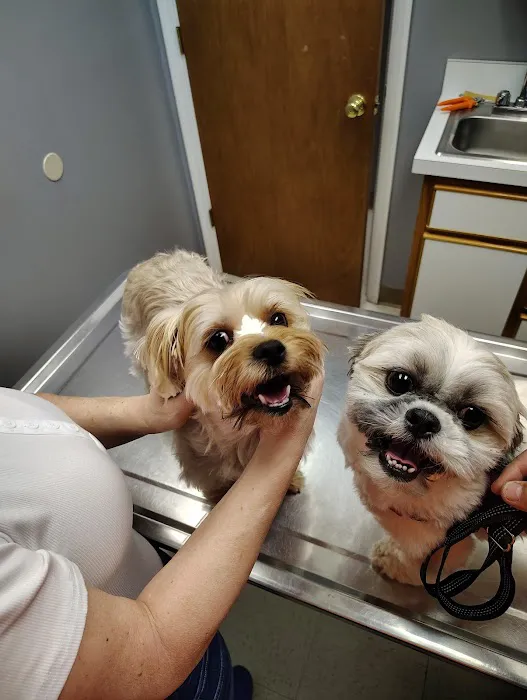 Animal Clinic of Caroline Picture 3