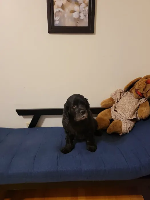 Animal Clinic of Caroline Picture 1