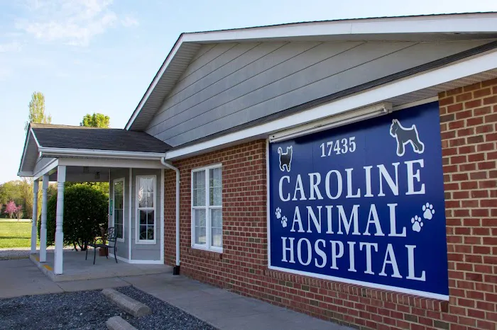 Caroline Animal Hospital Picture 3