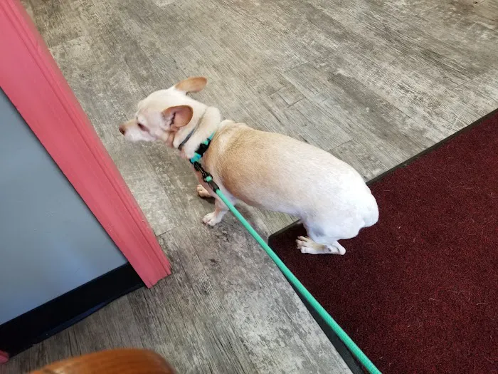 Caroline Animal Hospital Picture 5