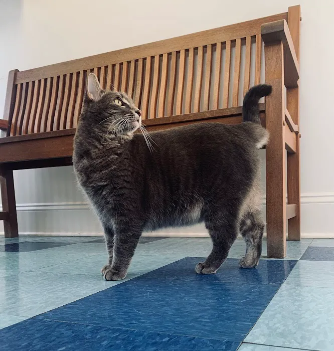 Montpelier Veterinary Hospital Picture 6