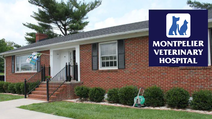 Montpelier Veterinary Hospital Picture 3