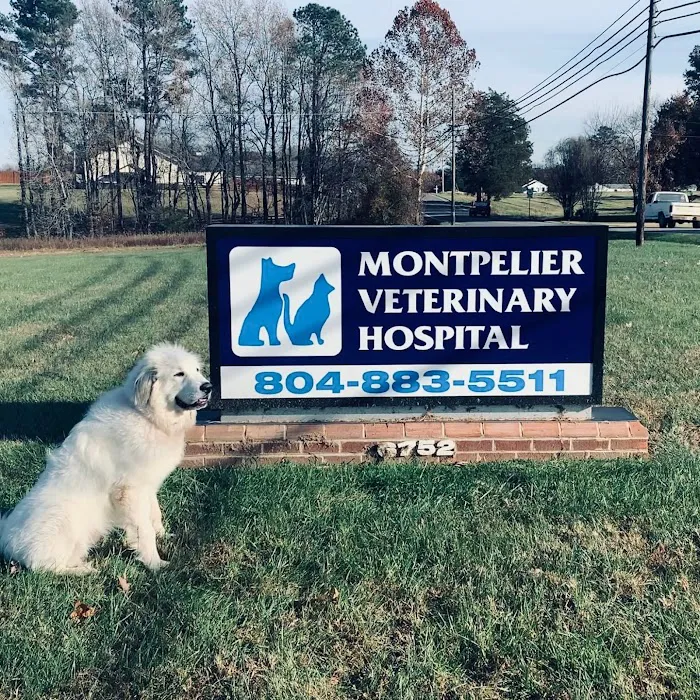 Montpelier Veterinary Hospital Picture 10