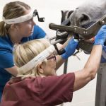 Woodside Equine Clinic