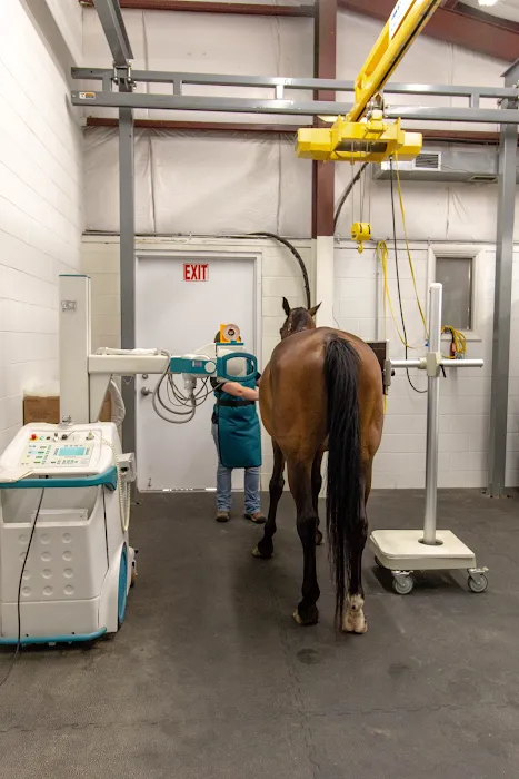 Woodside Equine Clinic Picture 9