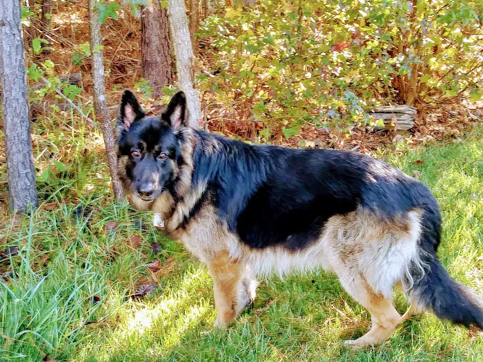 Ashland Veterinary Hospital Picture 10