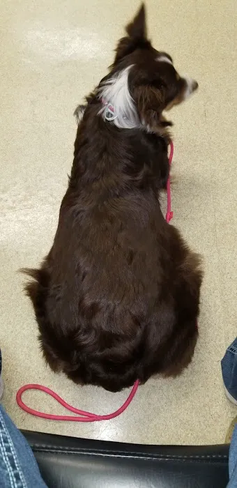 Ashland Veterinary Hospital Picture 6