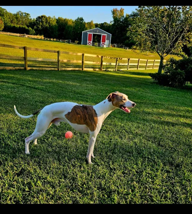 Chenault Veterinary Hospital Picture 6