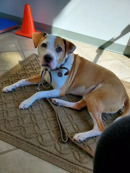 Shady Grove Animal Clinic Picture 5