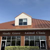 Shady Grove Animal Clinic ico