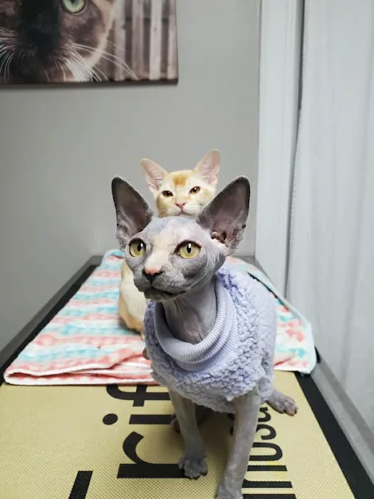Hart's Animal Hospital - NOW MERGED WITH ANIMAL WELLNESS CENTER OF STRONGSVILLE Picture 3