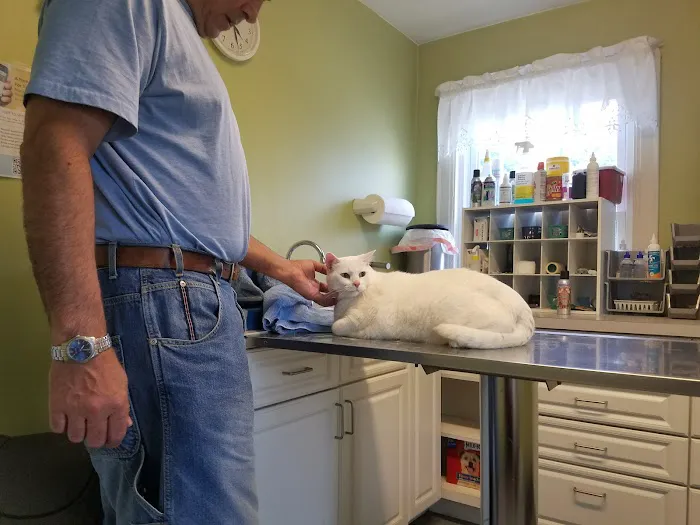 Hart's Animal Hospital - NOW MERGED WITH ANIMAL WELLNESS CENTER OF STRONGSVILLE Picture 6