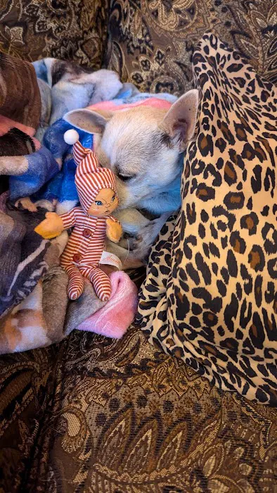 Banfield Pet Hospital Picture 5
