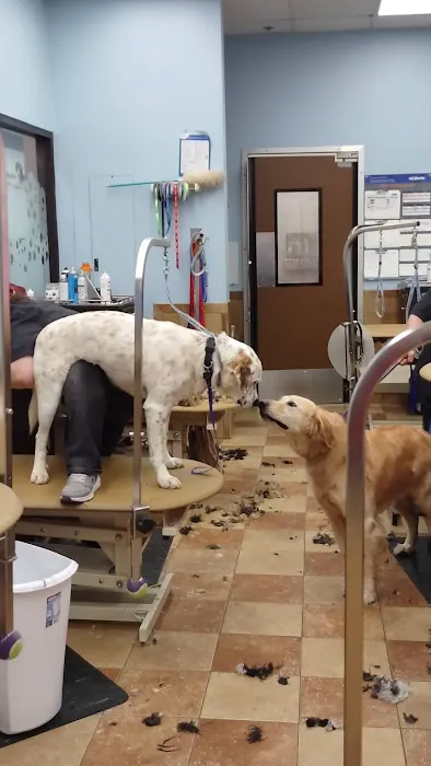 Banfield Pet Hospital Picture 2