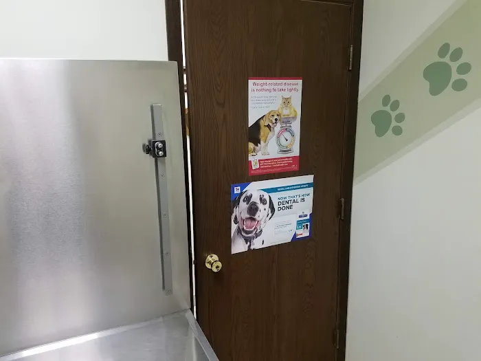 Southwest Animal Hospital Picture 1