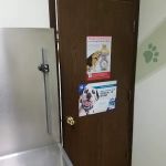 Southwest Animal Hospital
