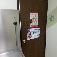 Southwest Animal Hospital ico