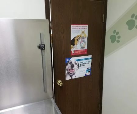 Southwest Animal Hospital