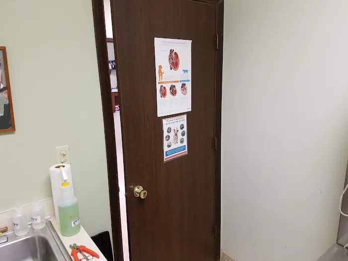 Southwest Animal Hospital Picture 7