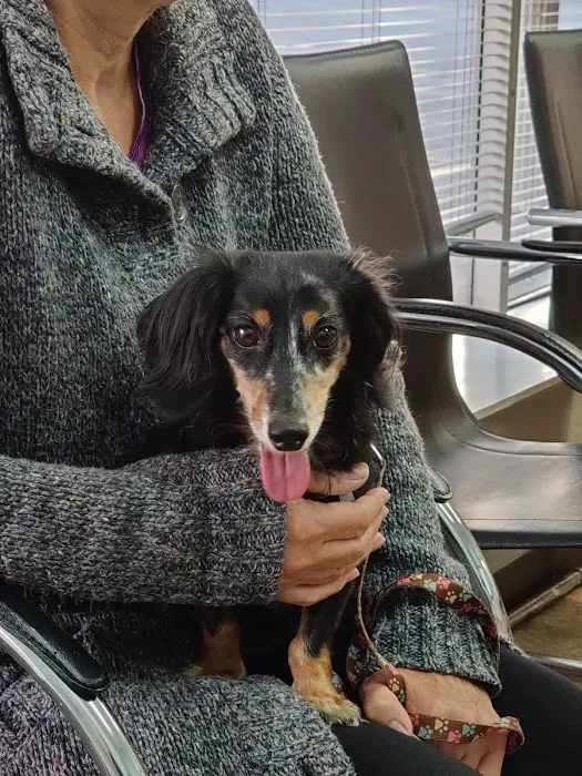 Kentown Animal Hospital Picture 1