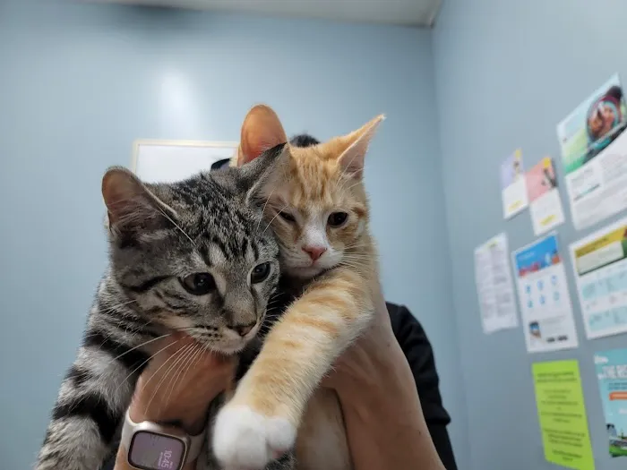 Kentown Animal Hospital Picture 10