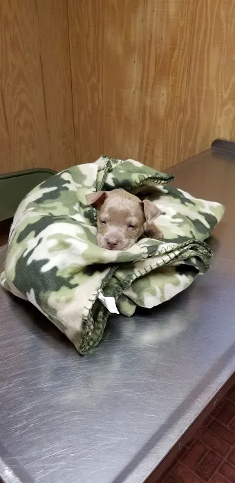 Town & Country Veterinary Clinic Picture 2