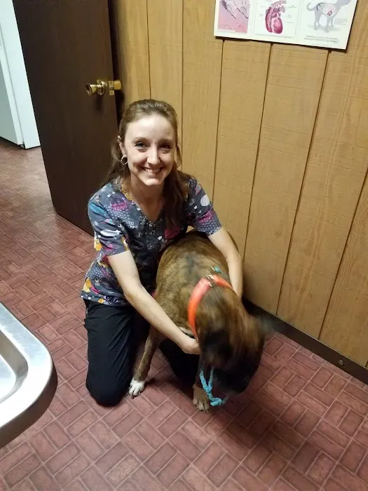 Town & Country Veterinary Clinic Picture 9