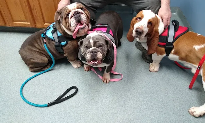 Kirkpatrick Animal Hospital Picture 2