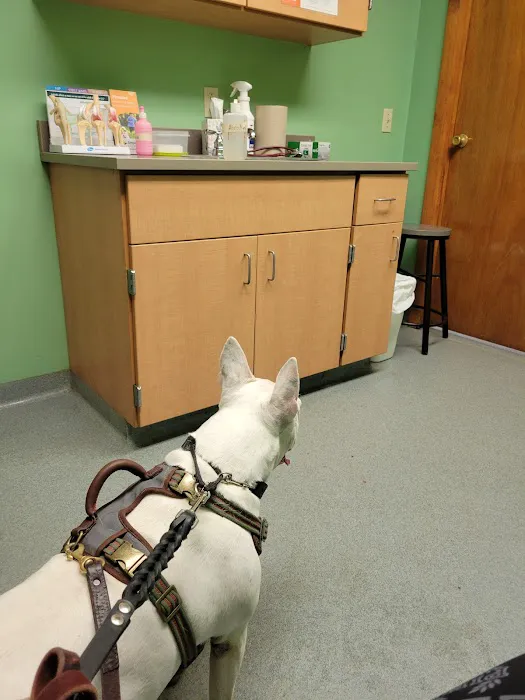 Kirkpatrick Animal Hospital Picture 8